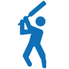 Cricketiconb